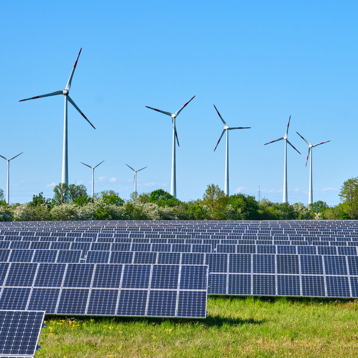 solar-panels-and-wind-turbines-on-a-sunny-day-2026-09-23-20-03-59-utc