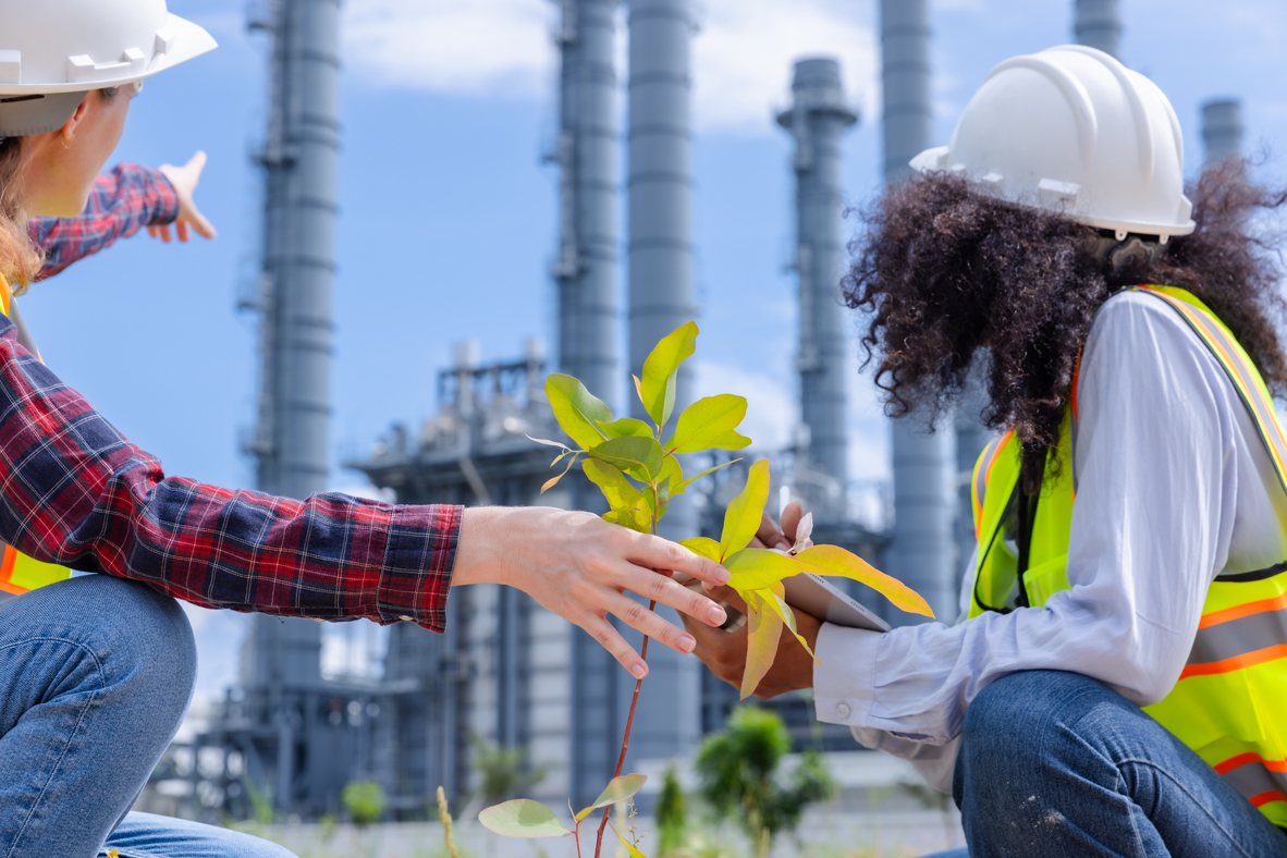 engineers-examine-sapling-near-industrial-site-2026-09-22-22-48-25-utc